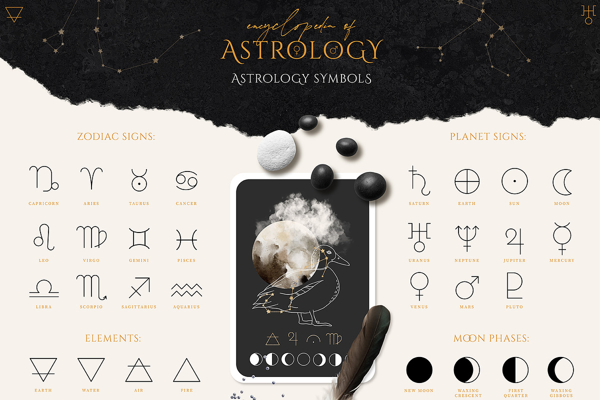 Encyclopedia of Astrology, an Animal Illustration by Julia Dreams (Photo 11 of 14)
