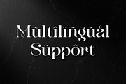Meylda - Lavish Stylish Serif, a Serif Font by Sealoung (Thumbnail 9 of 11)