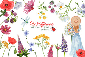 Summer Watercolor Wild Flowers