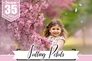 Falling Petals Photo Overlays, png, a Brushes & More by OverlayBox (Thumbnail 1 of 4)