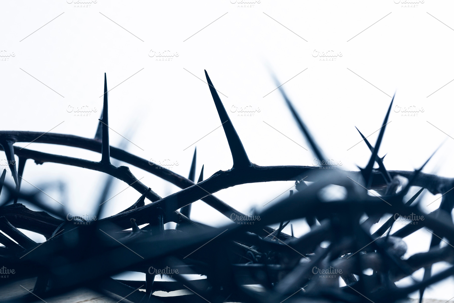 Crown of thorns on white, a Background Photo by Javier Art Photography