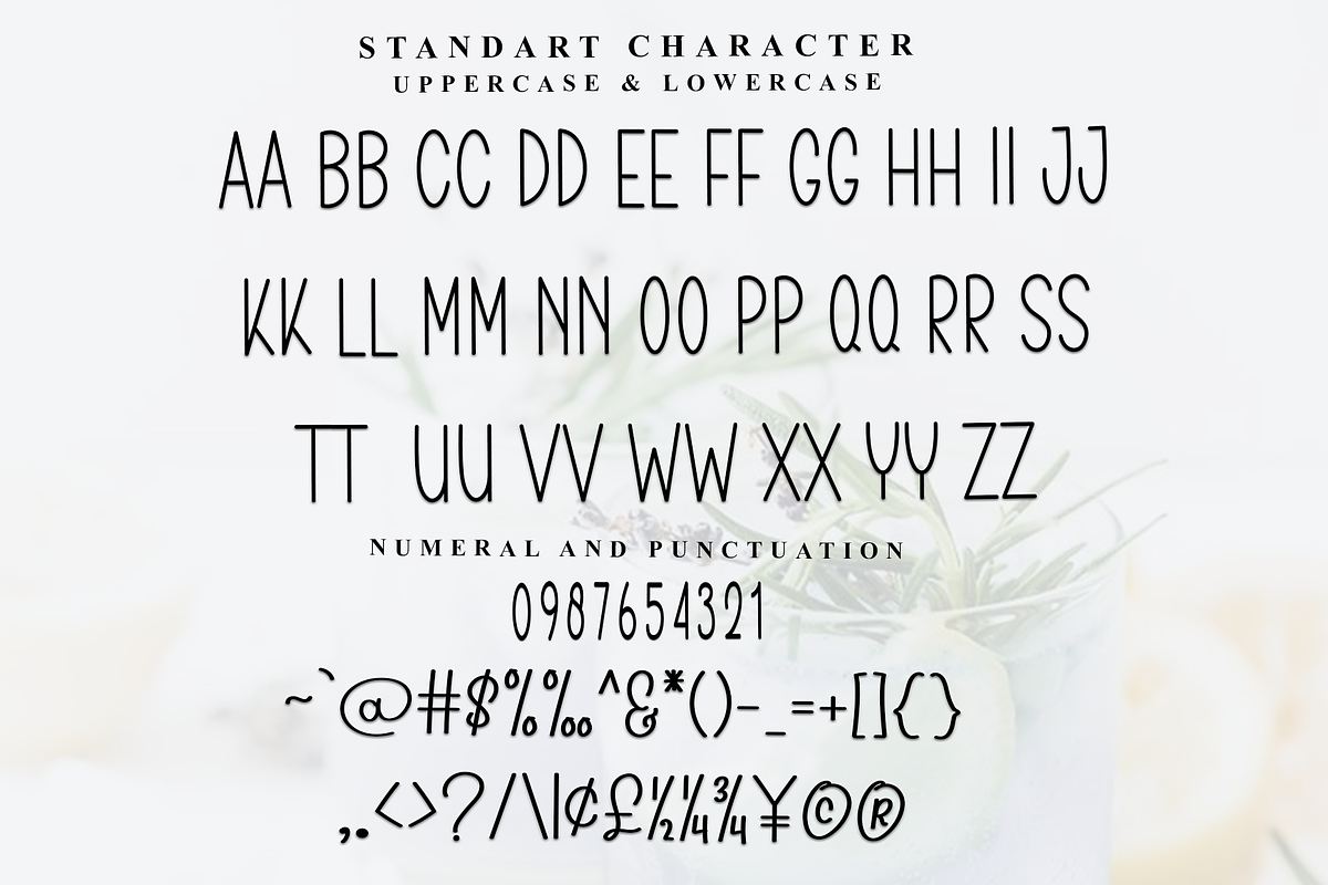 Street, a Sans Serif Font by FreshTypeINK (Photo 2 of 8)