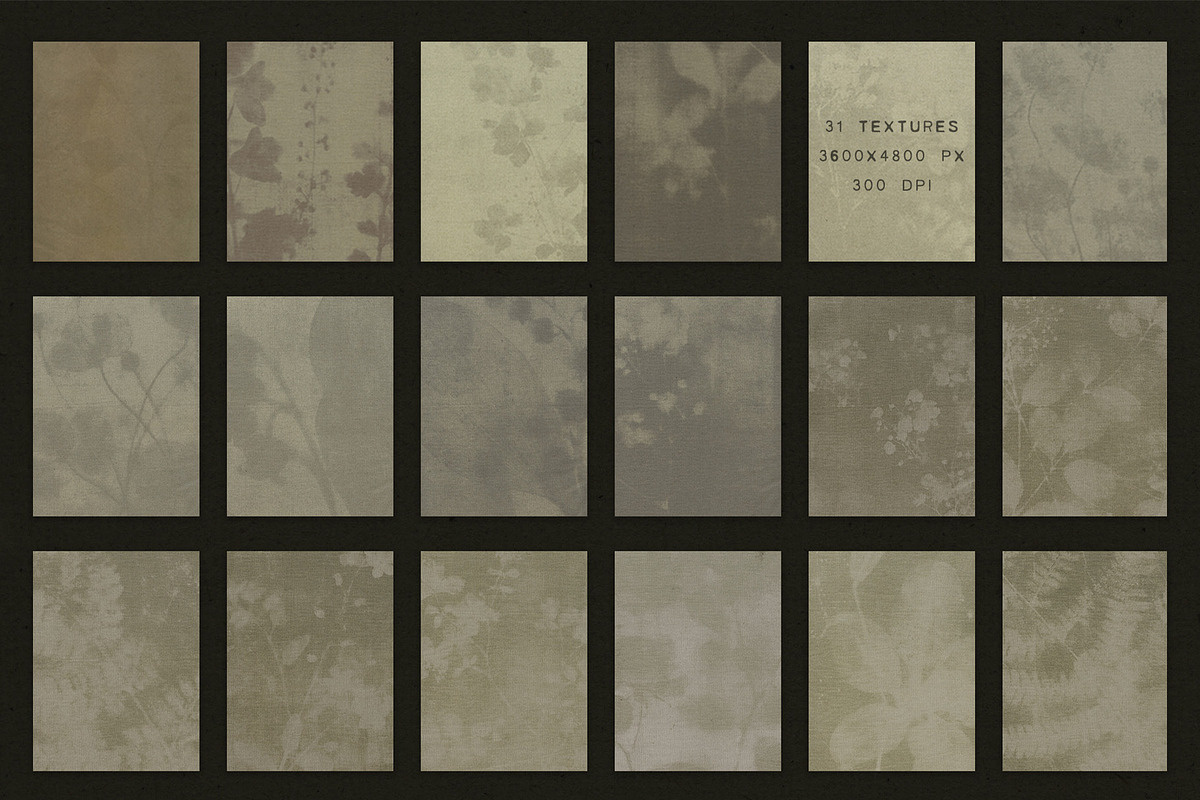 Faded Herbarium: Texture Backgrounds, a Texture Graphic by lerinartstudio (Photo 12 of 13)