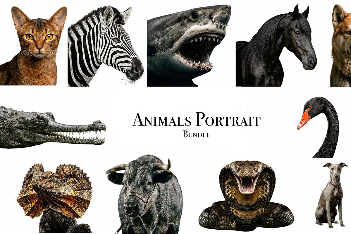Animals Portrait PNGs, an Animal Photo by VetalStock (Photo 1 of 16)