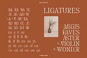 TAN - VIVRE LIBRE, a Serif Font by TanType (Thumbnail 6 of 17)