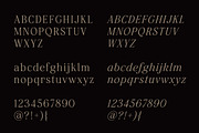 Constantine - Modern Serif, a Serif Font by Harmonais Visual (Thumbnail 12 of 12)