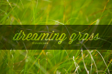 TreeBark - 15 photoset preview 7