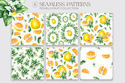 Pomelo Fruit Watercolor Collection, a Food Illustration by SashaKondr (Thumbnail 11 of 13)