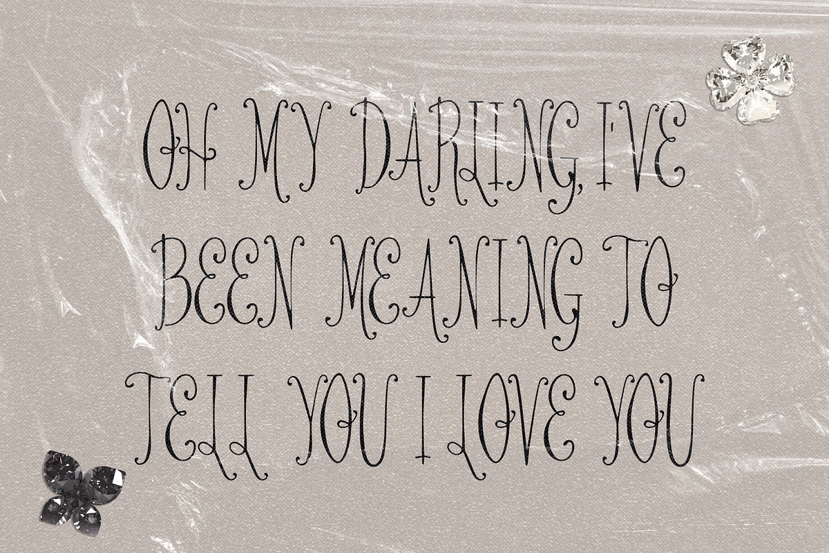 Lace Me Up My Love Whimsical Serif, a Serif Font by The October Creative (Photo 6 of 8)