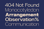 Gaglio Family Font, a Sans Serif Font by Marvadesign (Thumbnail 2 of 9)