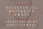 Hergison, a Slab Serif Font by Rishsketch (Thumbnail 9 of 13)