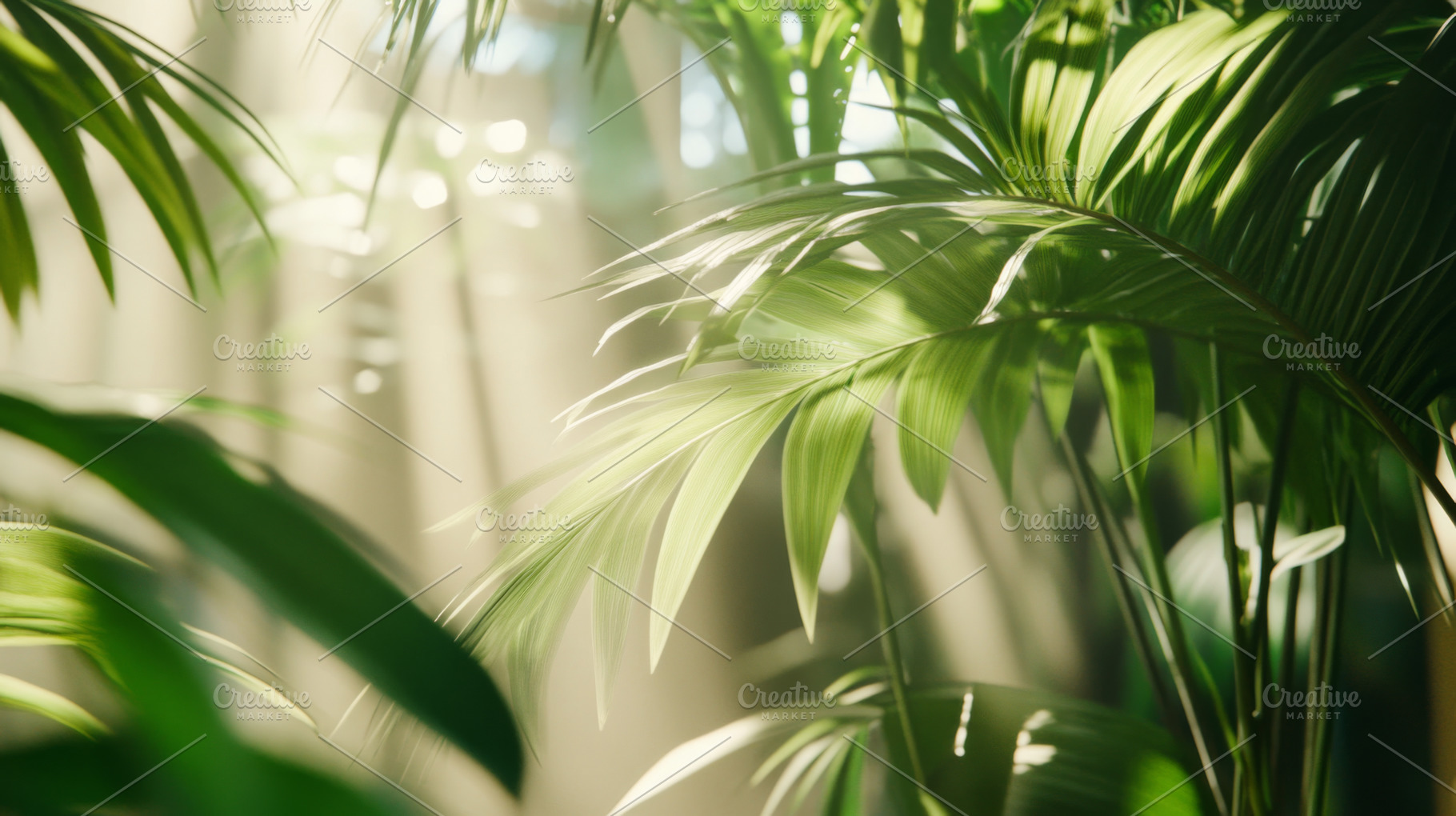 Lush green tropical palm leaves with, a Photo by Dvoevnore photos