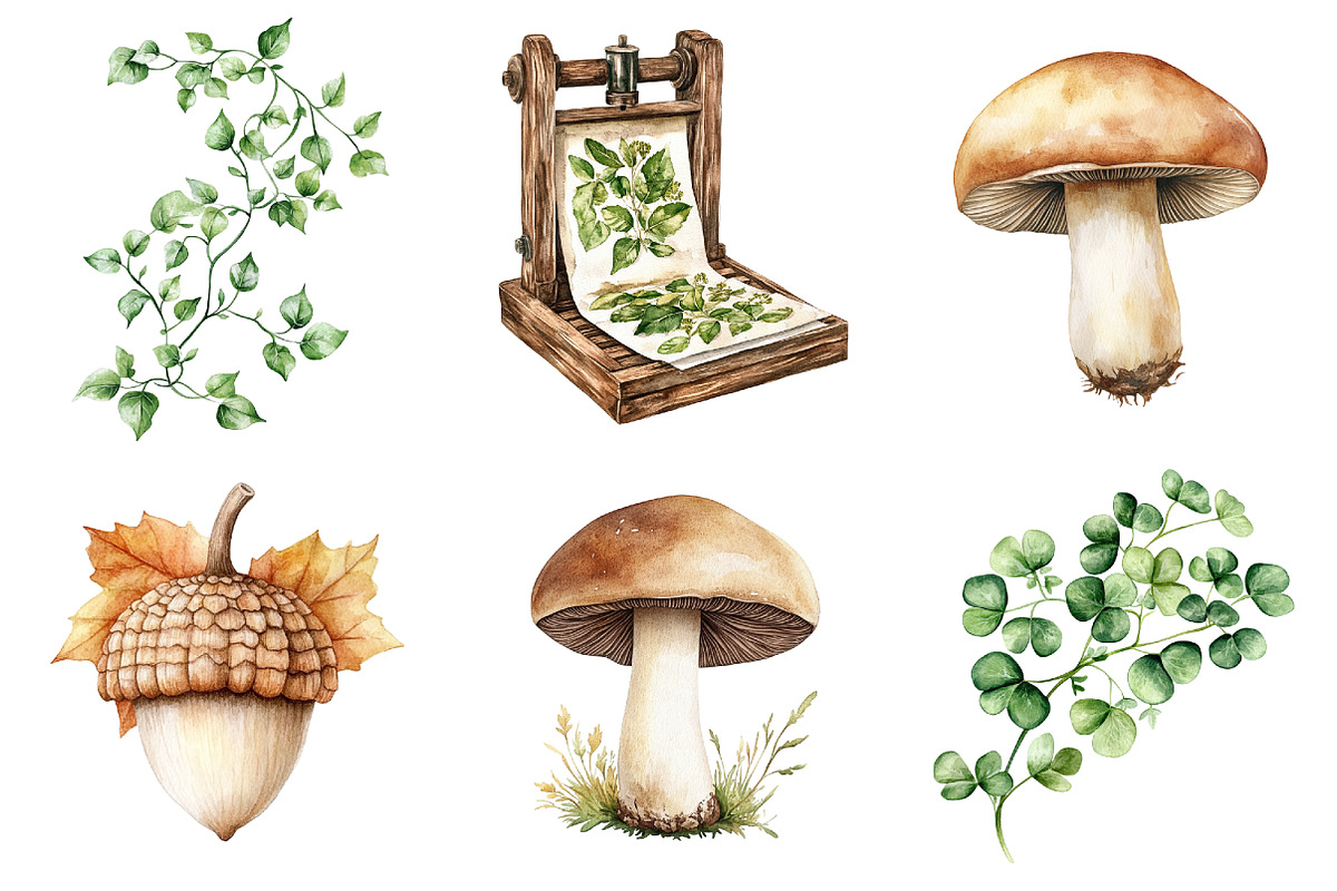 Watercolor Vintage Botanical Clipart, a Seasonal Illustration by CitraGraphics (Photo 7 of 9)