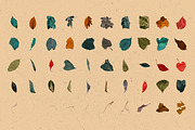 Broken Leaves 200 Transparent Object, an Object Graphic by nicholasasmita (Thumbnail 7 of 15)