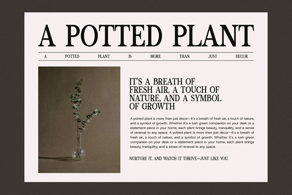 Moncky Modern Serif Font, a Serif Font by Perfectype (Photo 5 of 8)