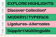 Glitch Menalog Display Serif, a Serif Font by timelesstype.co (Thumbnail 7 of 10)