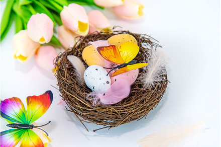 Beautiful Easter decor on a white, a Holiday Photo by yanadjana