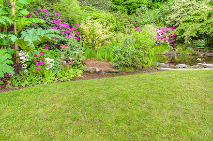 Green Lawn With Flowers preview 6