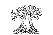Tree silhouette mushroom, a Texture Graphic by Design Store (Thumbnail 1 of 3)