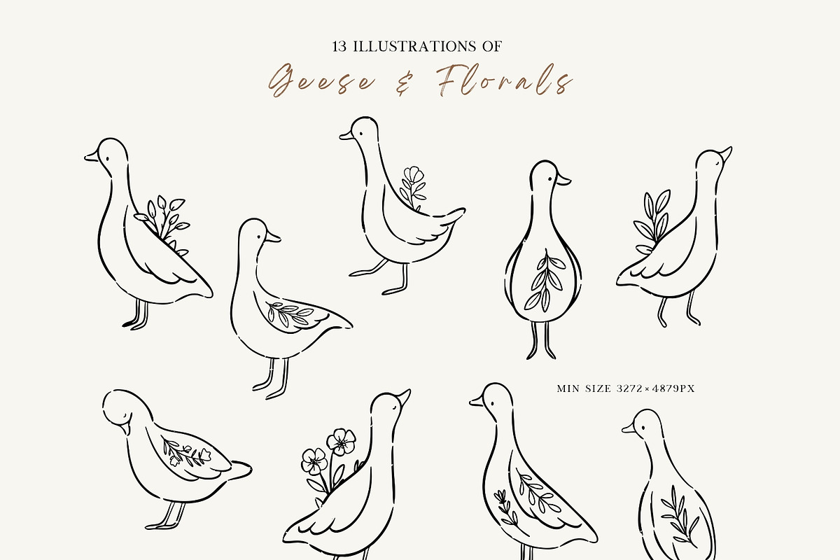 Line Art Cute Geese & Florals, an Animal Illustration by Jenteva Art (Photo 5 of 16)