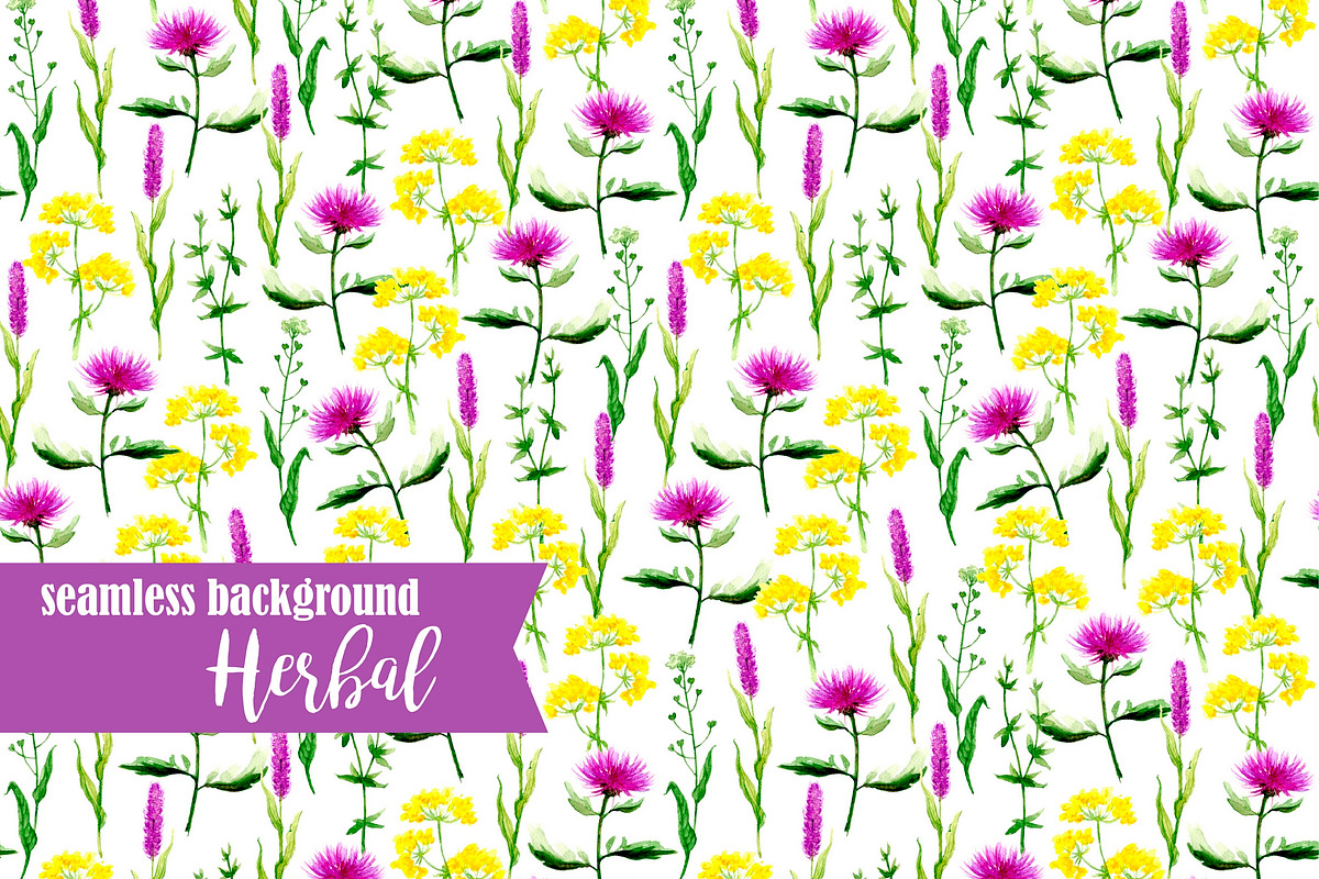 Watercolor summer herbal, an Illustration by Fresh-shop (Photo 5 of 6)