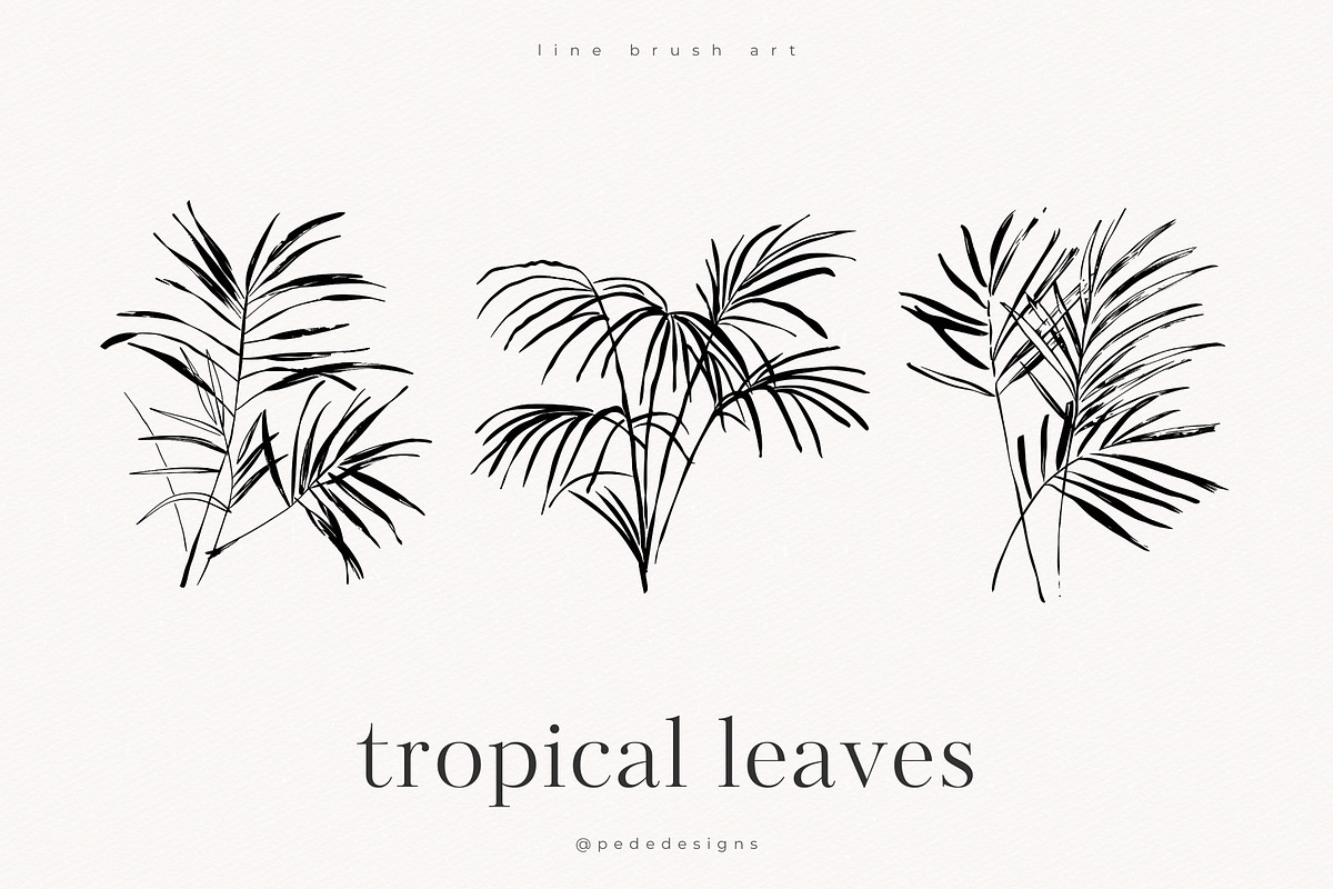 Tropical Leaves, a Decorative Illustration by PeDe Designs (Photo 7 of 7)