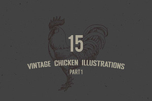 Vintage Chicken Illustrations Vector