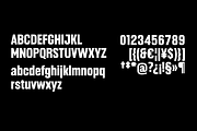 Headlines Font Family, a Sans Serif Font by TypeThis!Studio (Thumbnail 4 of 4)