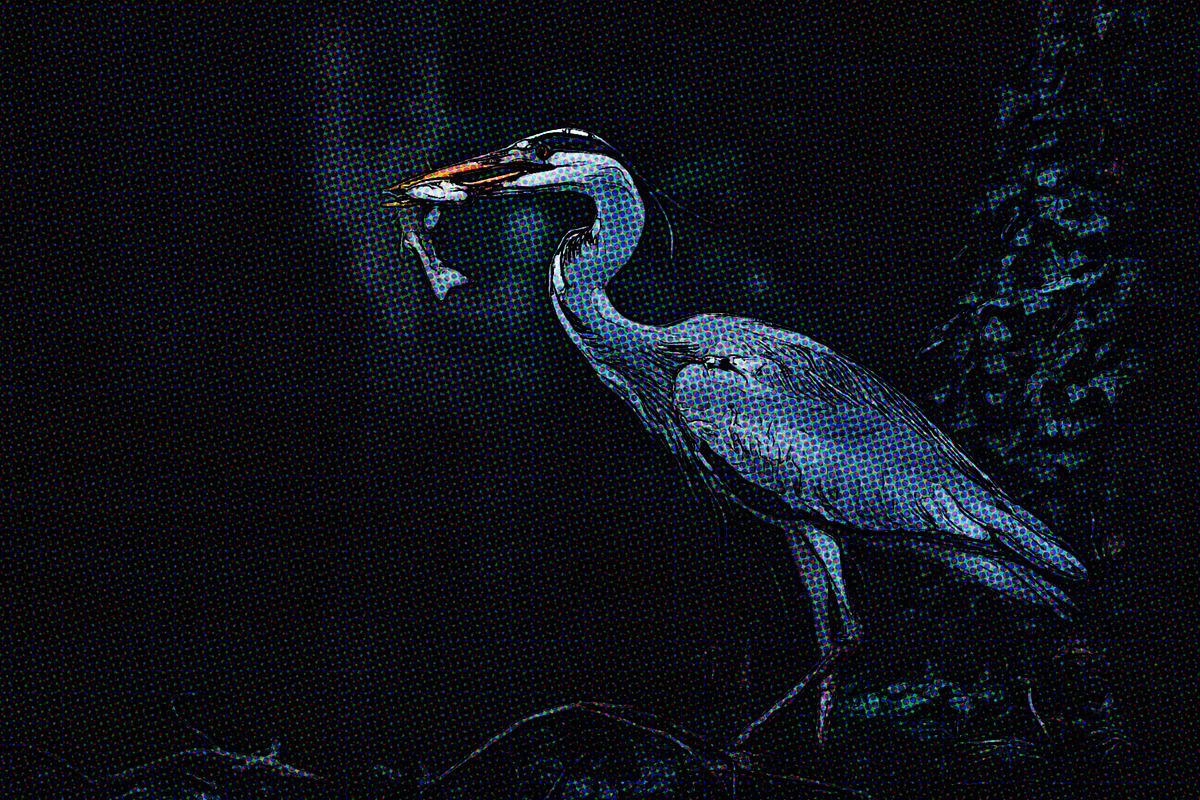 Kaisaku Halftone Illustration Effect, an Action Add-On by Dene Studios (Photo 6 of 17)