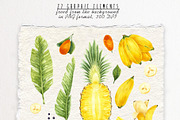 Tropical fruits watercolor clipart, a Food Illustration by a_ptichkina (Thumbnail 2 of 5)
