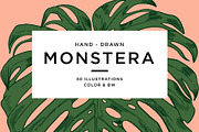 MONSTERA LEAVES, a Decorative Illustration by Tanya Akhmett (Thumbnail 1 of 8)