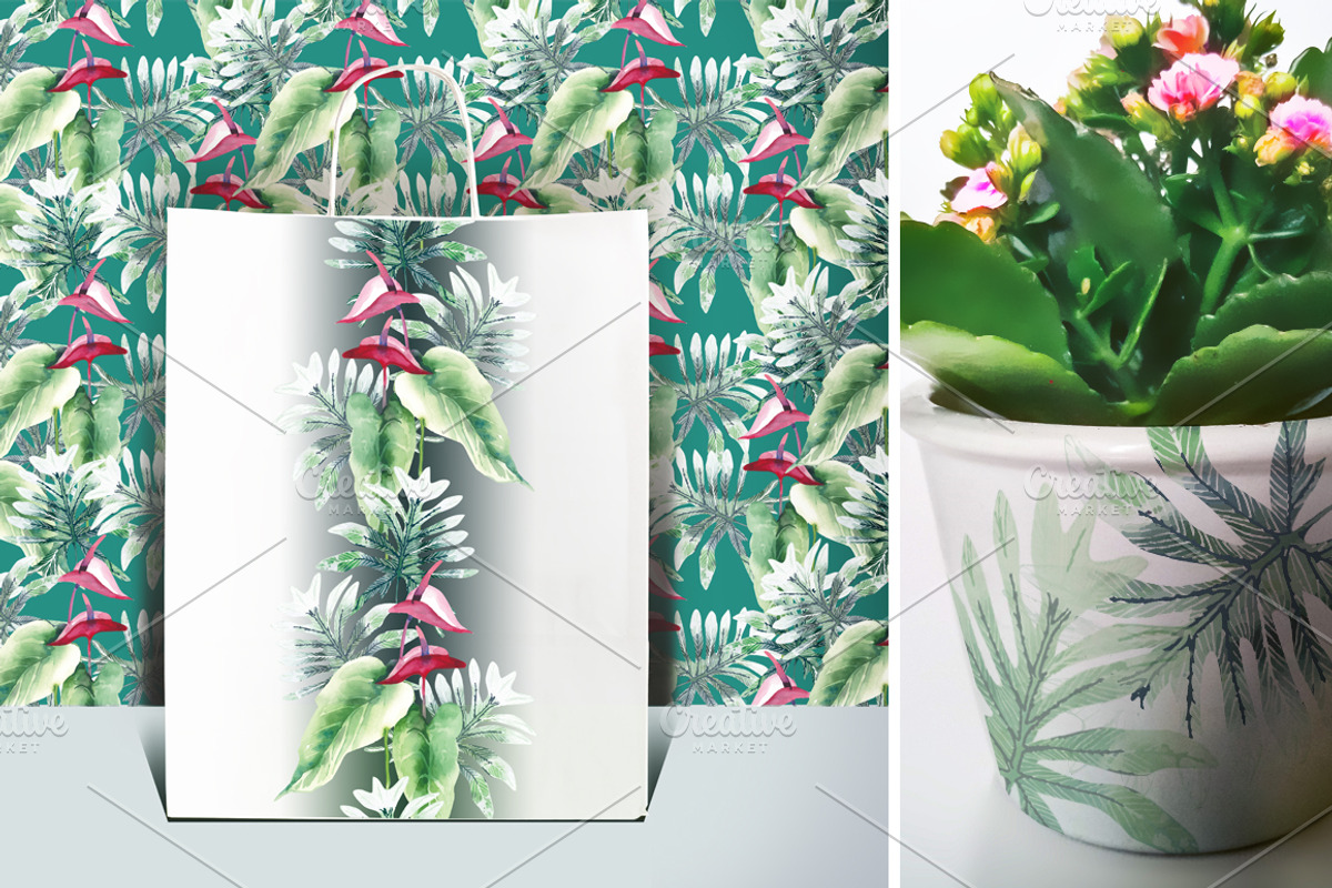 Exotic Plants  - Vector Set, a Decorative Illustration by Marina Grau (Photo 3 of 3)