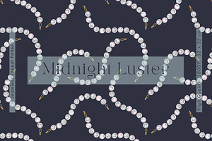Midnight Luster, a Decorative Illustration by Jacquelyn B Moore