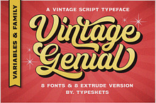 Vintage Genial | Variables Script
