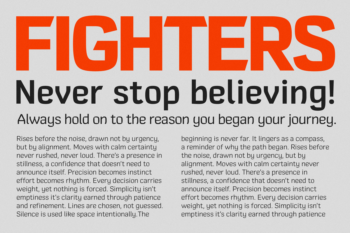 Comeback Sans, a Sans Serif Font by DKType Foundry (Photo 5 of 20)