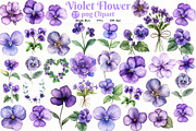 Violet Flower Watercolor Clipart, an Illustration by Watercolor design (Thumbnail 1 of 4)