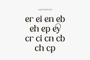 Herkey Display Serif Font, a Serif Font by Burhan Afif (Thumbnail 9 of 10)