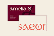 Barium - Luxury Elegant Beauty Sans, a Sans Serif Font by Typia Nesia (Thumbnail 10 of 11)