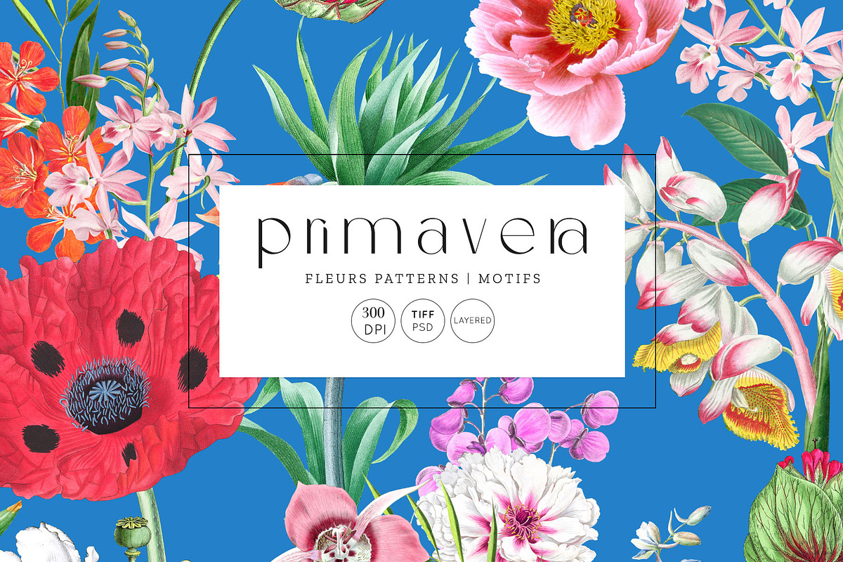 Primavera Fleurs bold floral prints!, a Pattern Graphic by TSTUDIO (Photo 1 of 11)