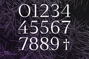 Abstract - Family 50% off, a Serif Font by Los Andes Type (Thumbnail 6 of 15)