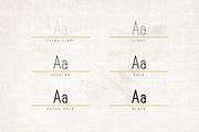 Opinio - Sans serif family, a Sans Serif Font by VP Fonts (Thumbnail 2 of 8)