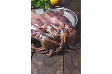 Raw squids on gray plate with, a Food & Drink Photo by LARISA BLINOVA