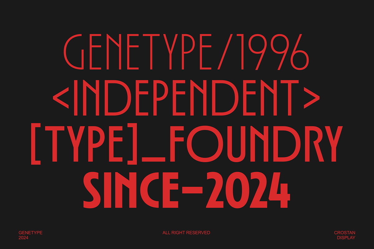 Crostan Display Font, a Sans Serif Font by Genetype (Photo 10 of 11)