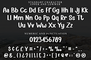 HAPPINES DAYS, a Serif Font by FreshTypeINK (Thumbnail 8 of 8)