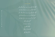 Baldive - a Signature Monoline Font, a Script Font by Balpirick Studio (Thumbnail 8 of 8)