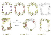 Watercolor Grapes Collection, a Decorative Illustration by MayaNavits (Thumbnail 6 of 9)