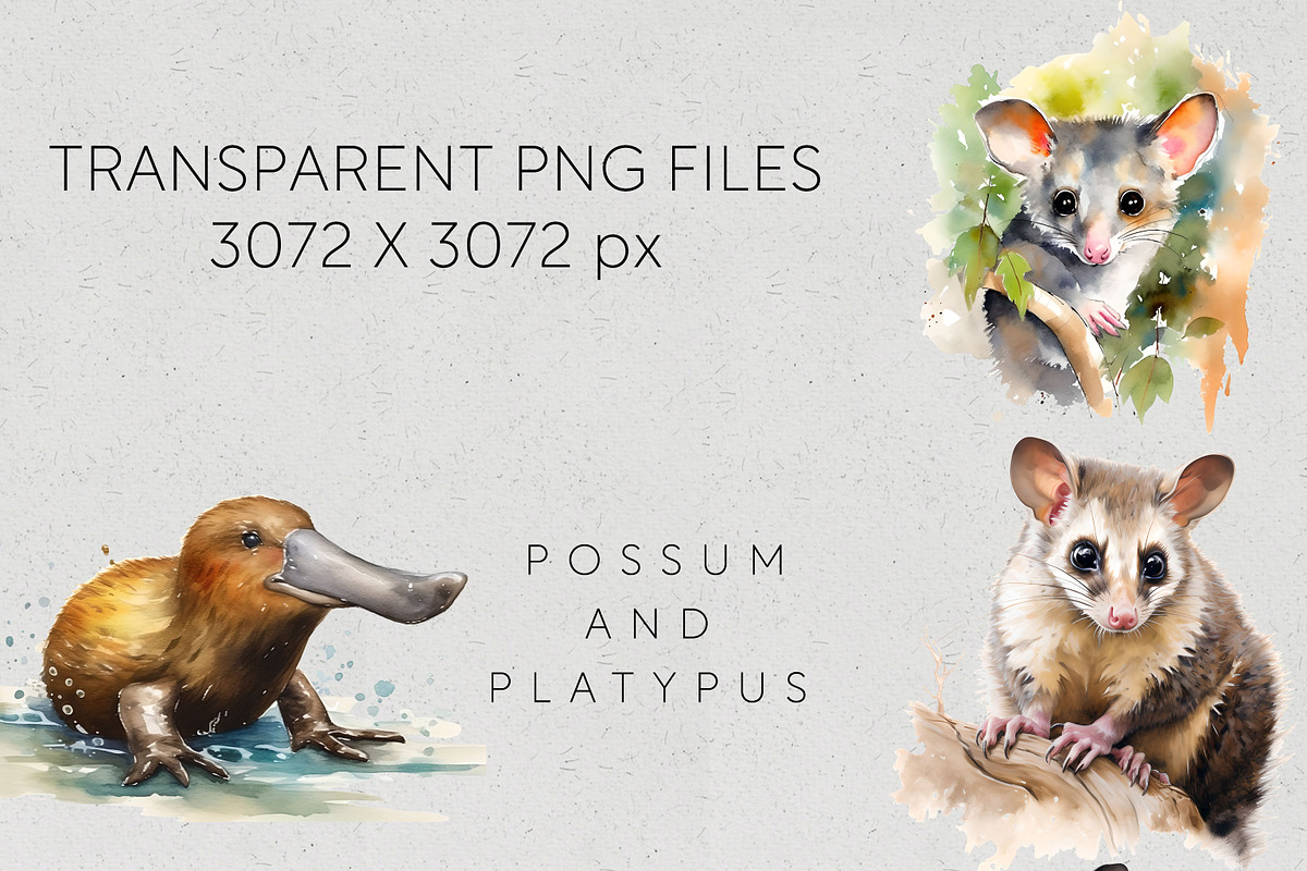 Bulk Australian Animals Clipart PNG, an Animal Illustration by Pawcasso's Portraits (Photo 6 of 10)