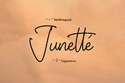 Whitteney, a Script Font by Integritype Studio (Thumbnail 14 of 15)