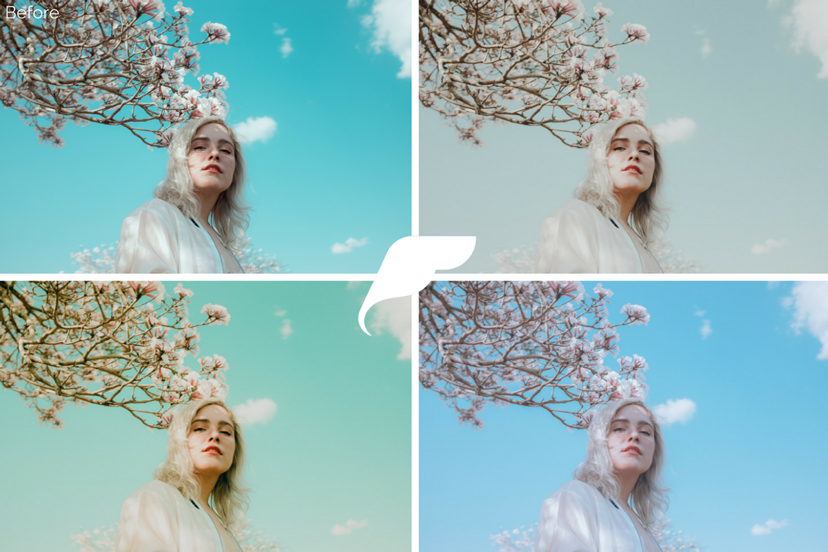 25 Film Tone Lightroom Presets I preview 2