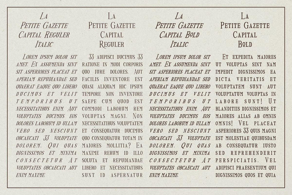 La Petite Gazette - Serif Typeface, a Serif Font by takoliko (Photo 3 of 12)